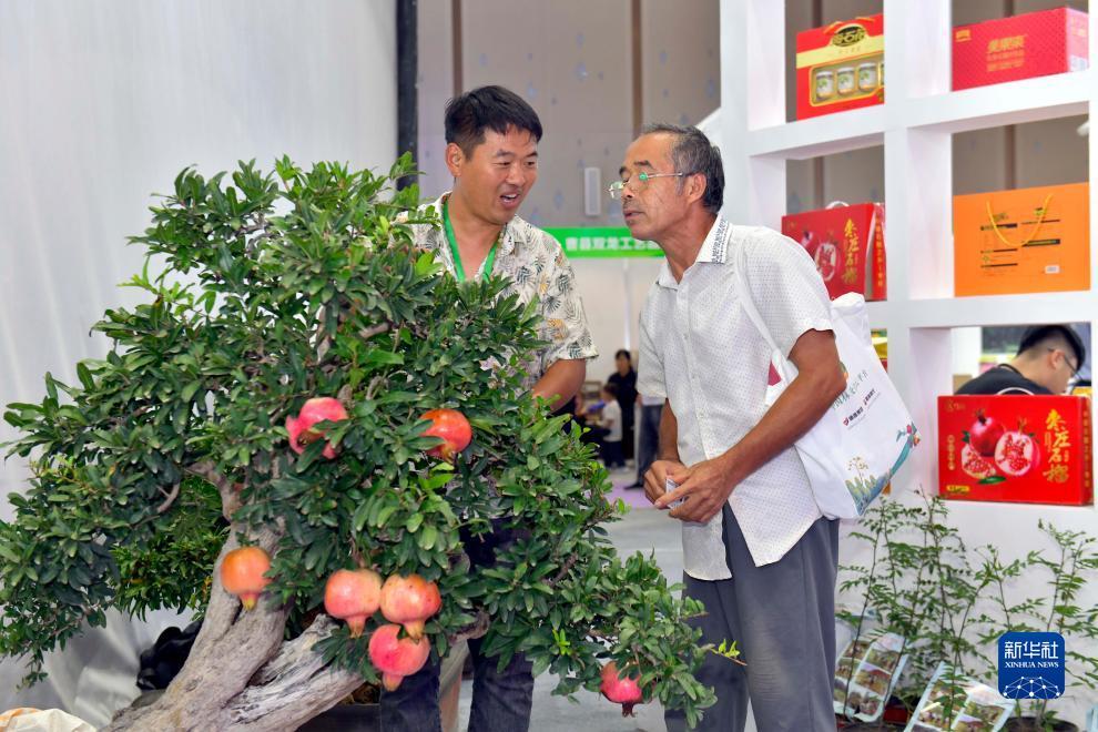 银河电子老虎机